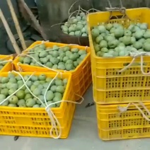 黑李，奈李