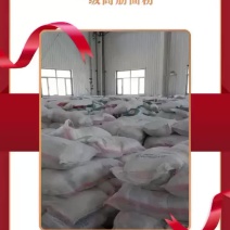 【面筋粉】进口哈萨克面粉【国内现货】高筋面粉全国直供