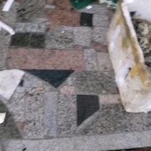 蜂蛹