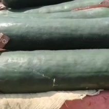 小全子农业开发公司