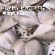 鱼