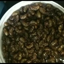 金蝉，鸡老鬼，爬叉