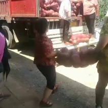 板栗南瓜。