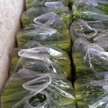 精品韭苔大量上市