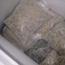 熟冻蜂蛹一二级四级