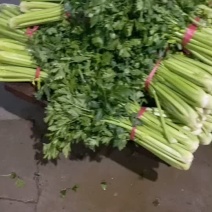 打捆芹菜