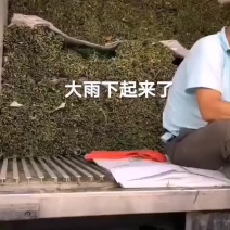 精品韭菜
