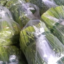 精品韭苔大量上市
