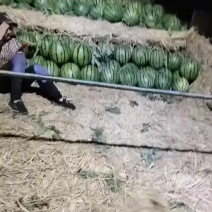 赤峰沙地西瓜