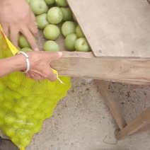 青皮核桃大量供应，需要的老板联系
