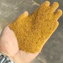 DDGS玉米酒糟可代替豆粕玉米鱼粉富含粗纤维
