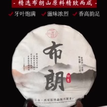 兴源版纳2018年布朗生茶普洱茶357g饼茶
