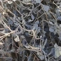 干马齿苋，野生的，自己挖的过水后自然风干