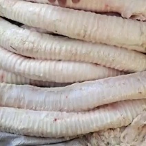 牛肺管，精修无油牛肺管，常年大量加工