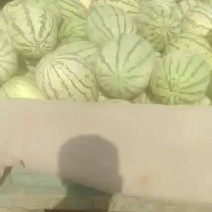 西瓜