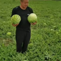 内蒙古巴彦淖尔市乌拉特前旗沙漠一号，绿爽金城五，实力代办