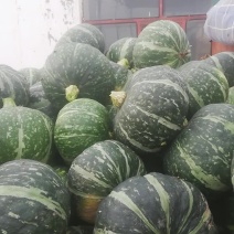优选内蒙板栗南瓜保质保量价格实惠量大从优