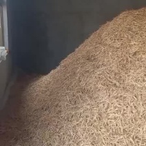 宁夏优质纯手工绿色黄花菜