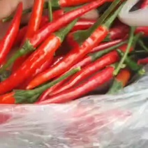 艳红辣椒