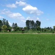 全国无人机上门飞防打药