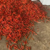 辣椒