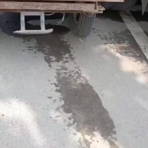 黑皮地冬瓜大量上市了，瓜好价格低，欢迎各位