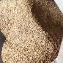 早稻米10斤包邮到家