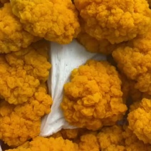 新鲜黄金耳金耳菌金耳