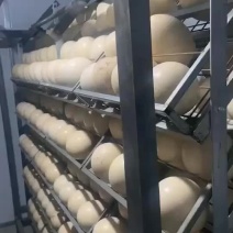 优质鸵鸟蛋，营养价值证高，个大美味。