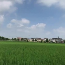 全国无人机飞防打药施肥