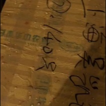 鸽天下