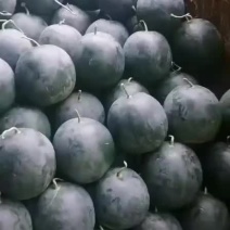 新鲜西瓜