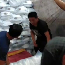 白萝卜，四排，