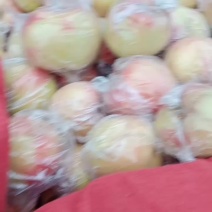 75以上毛桃