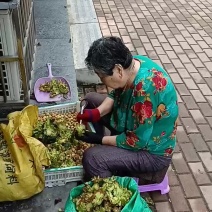大榛子