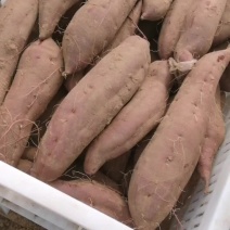 紫薯精品上市
