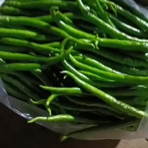 出售新鲜辣椒线椒