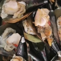 活冻半壳江瑶贝鲜带子半壳绿贝冷冻瑶柱贝烧烤自助餐
