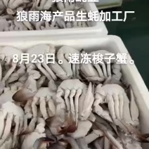 梭子蟹