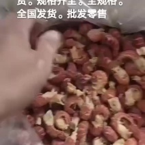 龙虾尾
