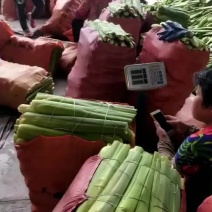 磐安高山茭白