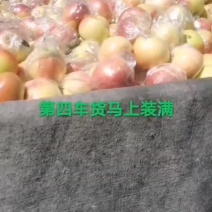 美八