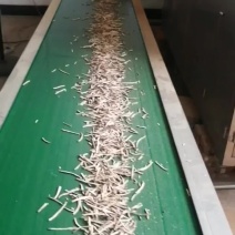 A级香菇丝