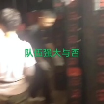大量供应优质圣女果