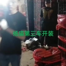 实力代办团队为您服务