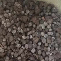 纯羊粪颗粒羊粪羊场自产发酵腐熟全国接咨询