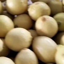 柠檬