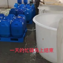 精品藕段，藕片，清水藕片和藕段，自产粗加工和深加工