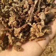 晒干梨渣适口性好，用做猪，牛，羊等饲料，降低成本，价格优