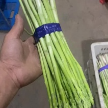 精品中笋